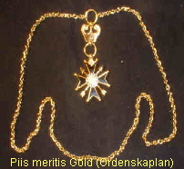 Piis meritis Gold (Ordenskaplan)